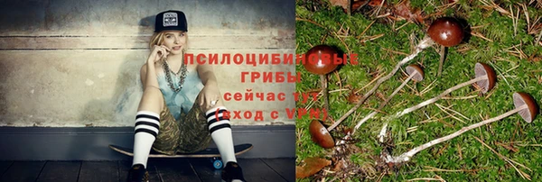 МДМА Богородицк