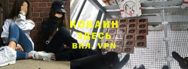 метадон Богданович
