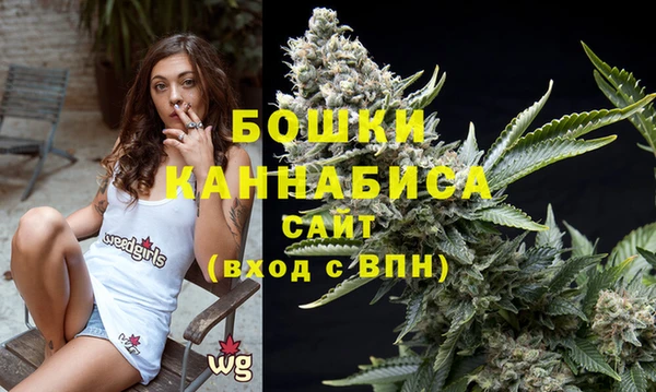 спайс Строитель