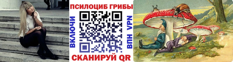 Псилоцибиновые грибы GOLDEN TEACHER  купить наркоту  Великие Луки 