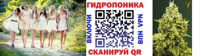 Бошки Шишки индика  наркота  Великие Луки 